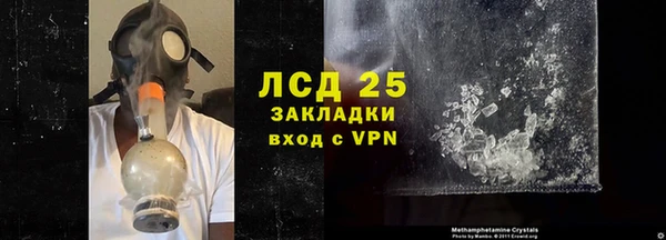 стаф Верея