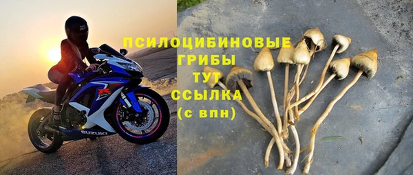 таблы Рославль