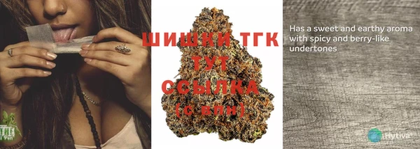 таблы Рославль