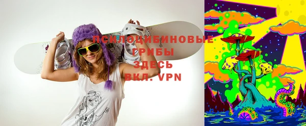 mdpv Пролетарск