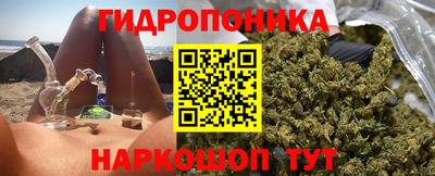 гидра Гусев