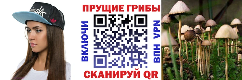 купить наркоту  Старая Купавна  Псилоцибиновые грибы ЛСД 
