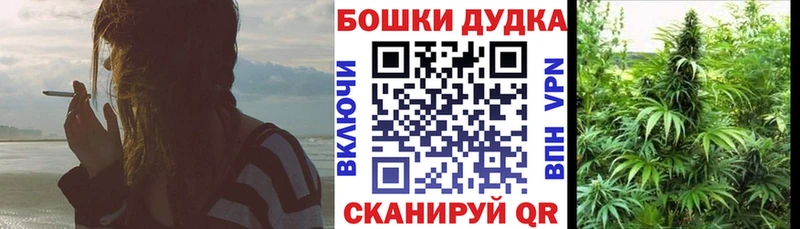Конопля планчик Старая Купавна